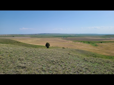 Antelope, Mount