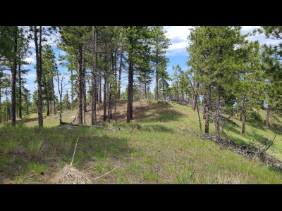Custer County HP