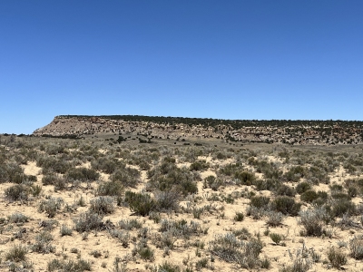 Mesa Amada