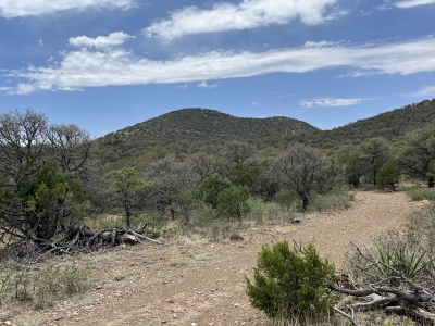 Vera Cruz Mountain