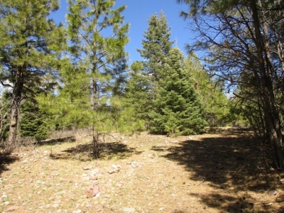 Colcord Mountain