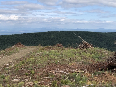 Bebe Mountain
