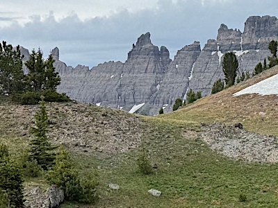 "Devil's Toenail"