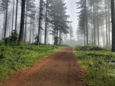 Bell Mountain