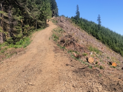 Cannery Mountain