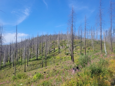 Yaak Mountain
