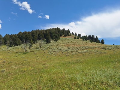 Landon Ridge