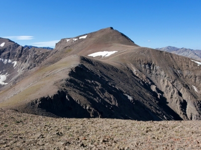 12007