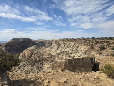 Wedge West, The