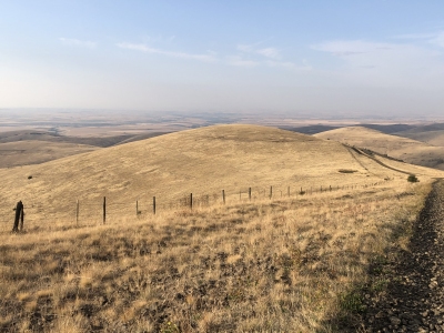 Porter Hill