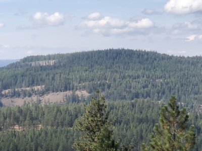 Spring Mountain