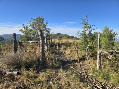 Pine Mountain