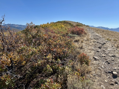 Bald Mountain