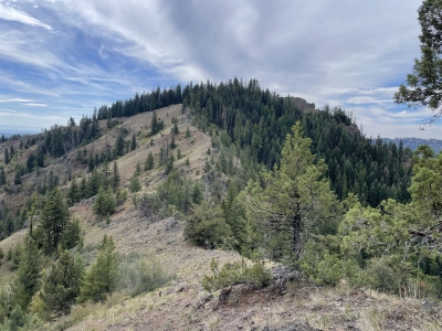 Bald Butte