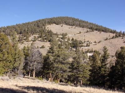 Greenstone Mountain