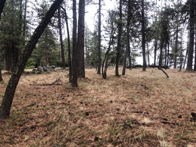 Owens Butte