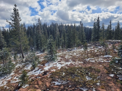 Doane Peak