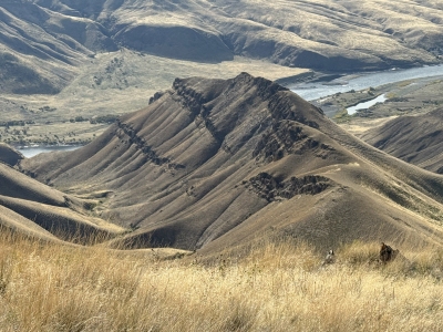 Limestone Point