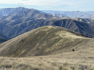 Gold Hill