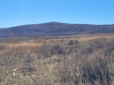 Cottonwood Rim