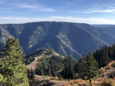 Dusty Ridge