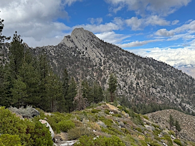 Sawmill Point