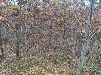 Suckatunkanuc Hill