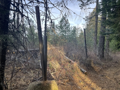 Gold Hill