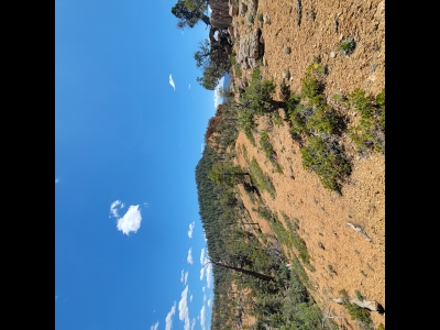 Black Mountain