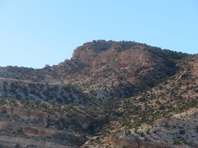 Fruita Benchmark