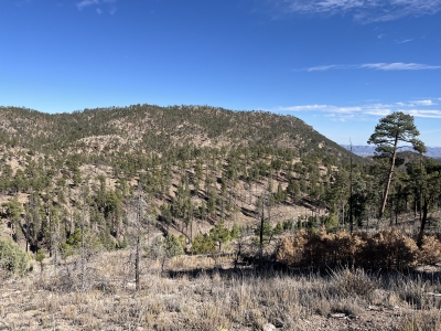 Franks Mountain, West