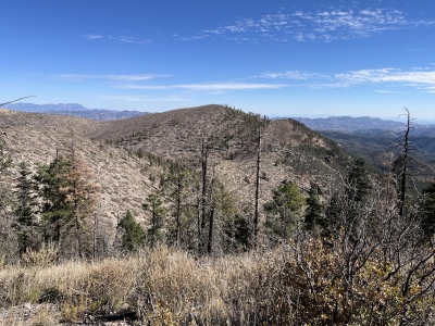 Franks Mountain, East