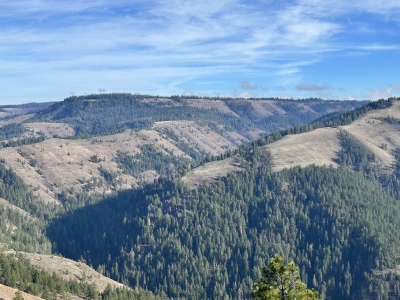 North Fork Umatilla Wilderness HP