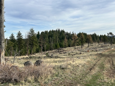 Mahogany Butte
