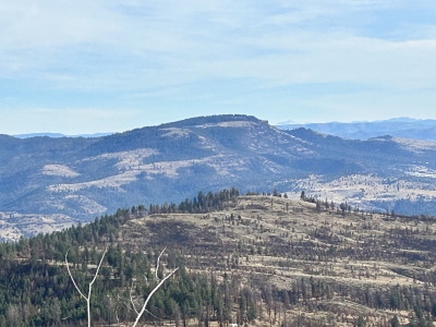 Tamarack Mountain