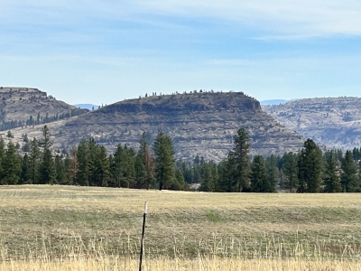 Briley Mountain