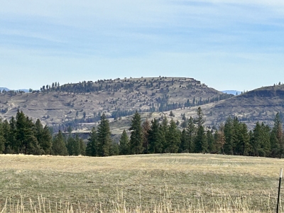 Steet Mountain