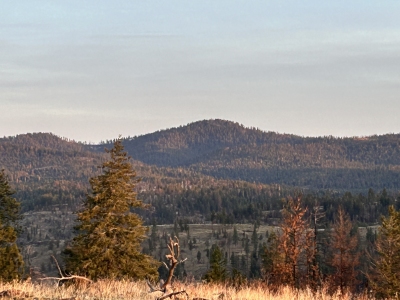 Madison Butte