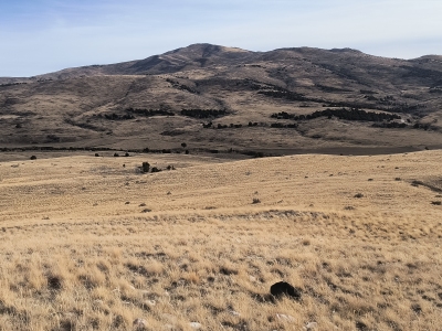 Cedar Hills, North