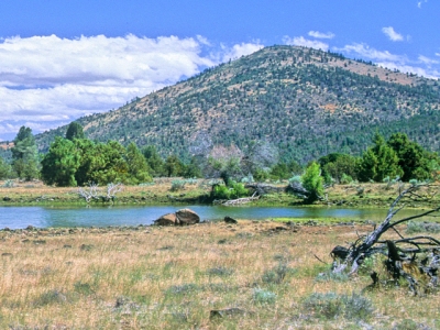 Bald Mountain