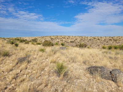 Azotea Mesa