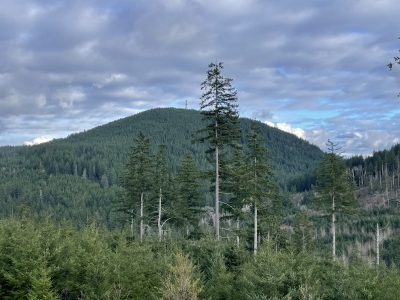 Green Mountain