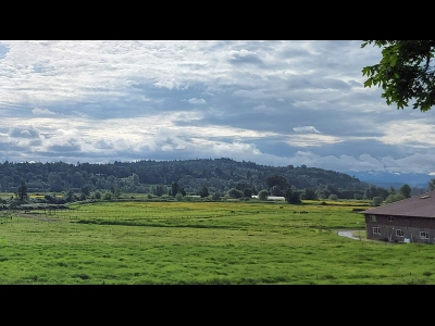 Novelty Hill