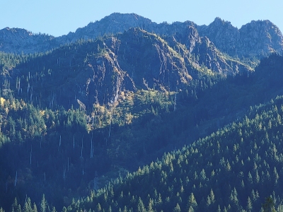 "Tran Spire"