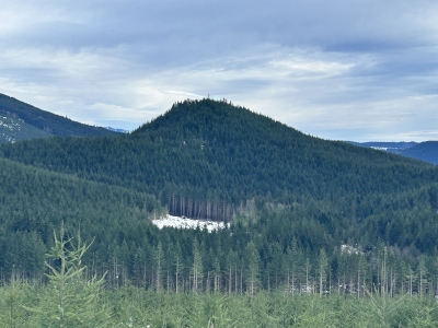 Bellicum Peak
