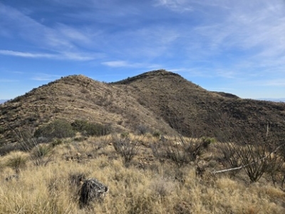 Grassy Hill