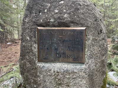 Billings Point
