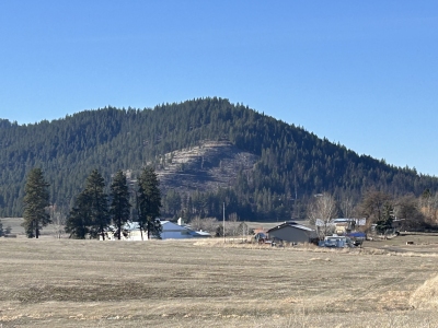 Worley Mountain