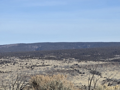 Juniper Mountain