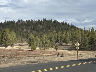 Shingle Mill Butte